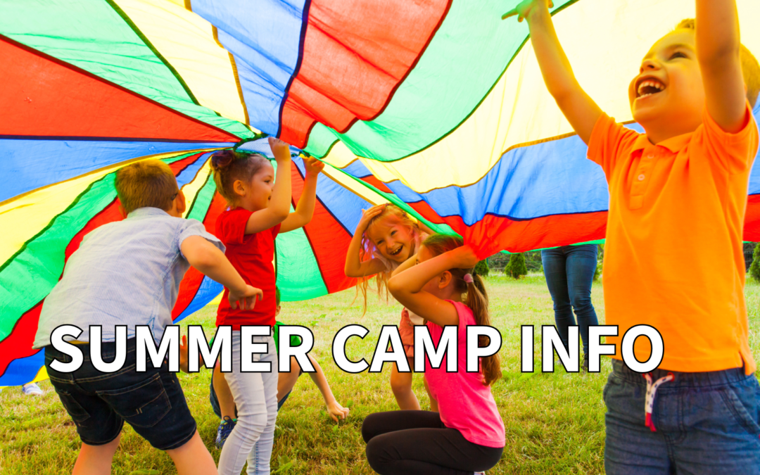 A Parent’s Guide to Exciting Summer Camp Options in Dickson